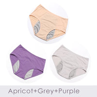 3pcs Menstrual Panties Physiological Pants Leak Proof Women Underwear Period Mesh Breathable Briefs Plus Size Underwear L-8XL