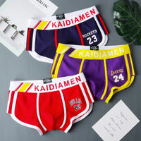 3 Pieces Mens Boxer Shorts 2024 New Multicolor Cotton Mens Underwear Boxer Summer Mid Waist Underpants Breathable Men's Panties