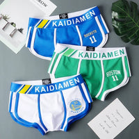 3 Pieces Mens Boxer Shorts 2024 New Multicolor Cotton Mens Underwear Boxer Summer Mid Waist Underpants Breathable Men's Panties
