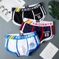 3 Pieces Mens Boxer Shorts 2024 New Multicolor Cotton Mens Underwear Boxer Summer Mid Waist Underpants Breathable Men's Panties