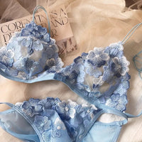 French Niche Lingerie Set Embroidered Mesh Triangle Cup Wireless Bralette Retro Lace Thin Sexy Comfortable Bra USA Tushy MOYISU