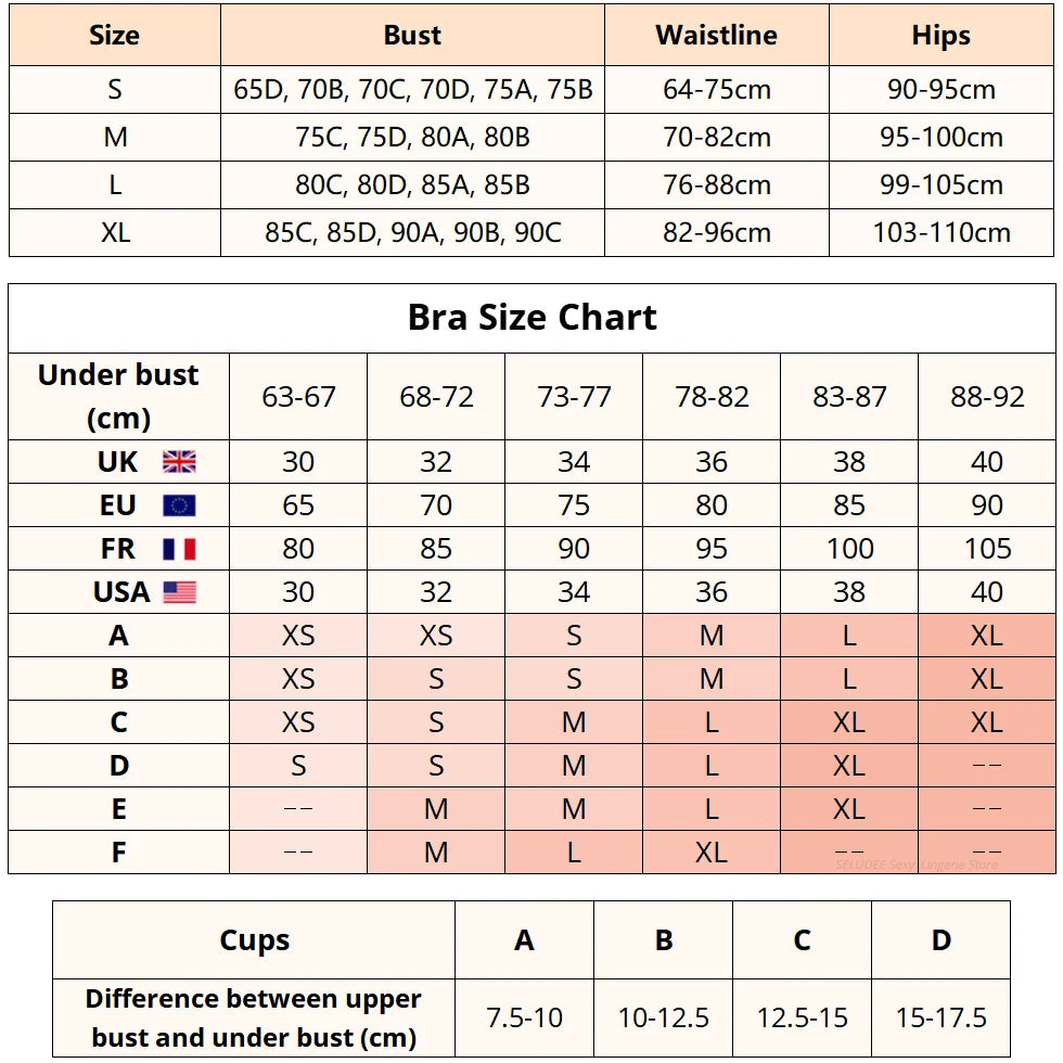 Sexy Lace Lingerie for Women Bra Garter Panties 3pcs Sets See-through Sexy Elegant Underwear Intimate Transparent Erotic