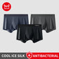 MIIOW 3Pcs Ice Silk Man Underwear Boxer Metal Fiber Antistatic Men Underpants Seamless Cut Hem Men's Panties Boxers Shorts Trunk
